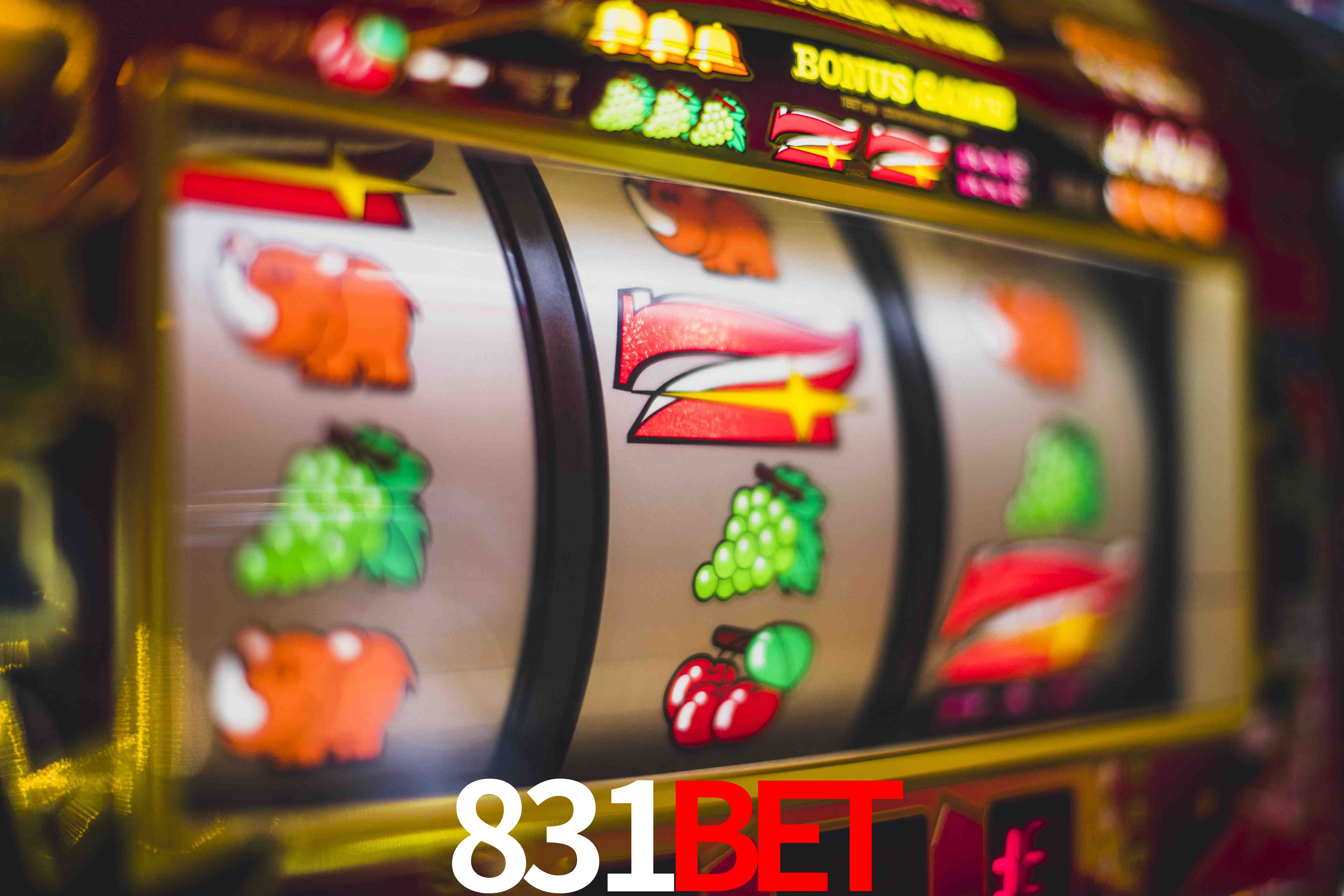 Statistics 831bet